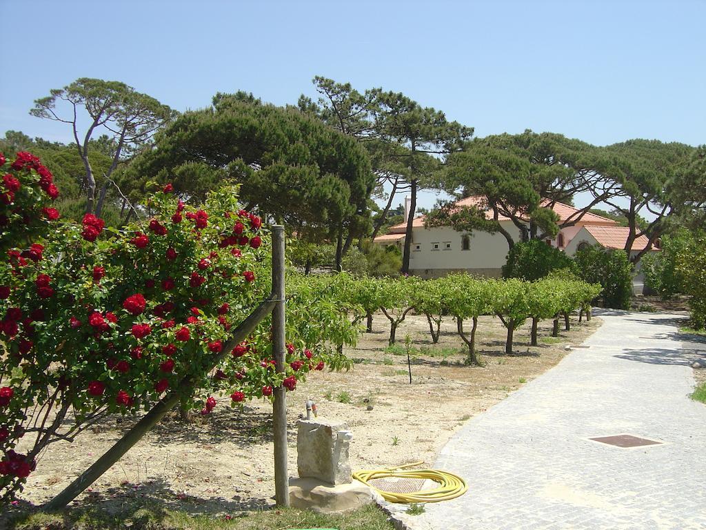 Solar Do Magoito Guest House Sintra Luaran gambar